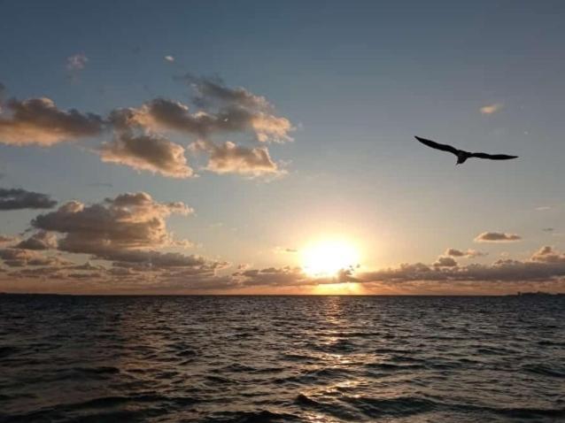 Corazon Del Pescador Appartement Cancún Buitenkant foto